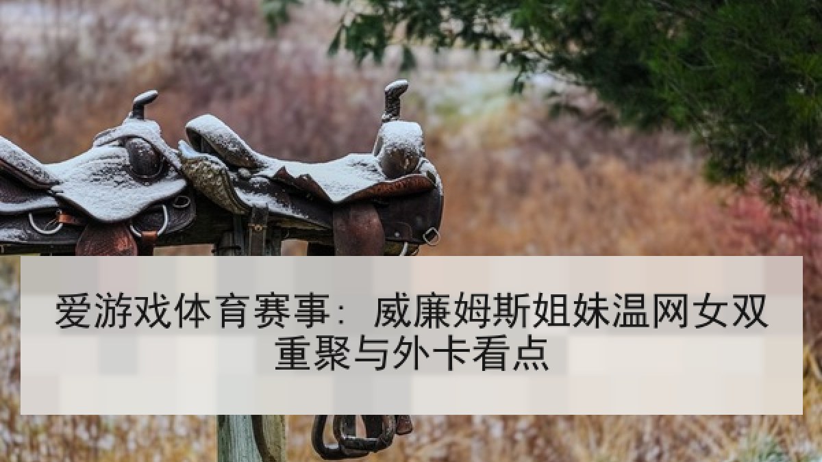 爱游戏体育赛事: 威廉姆斯姐妹温网女双重聚与外卡看点