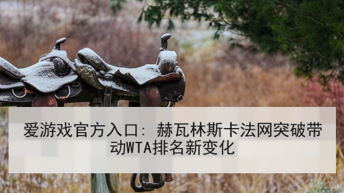 爱游戏官方入口: 赫瓦林斯卡法网突破带动WTA排名新变化