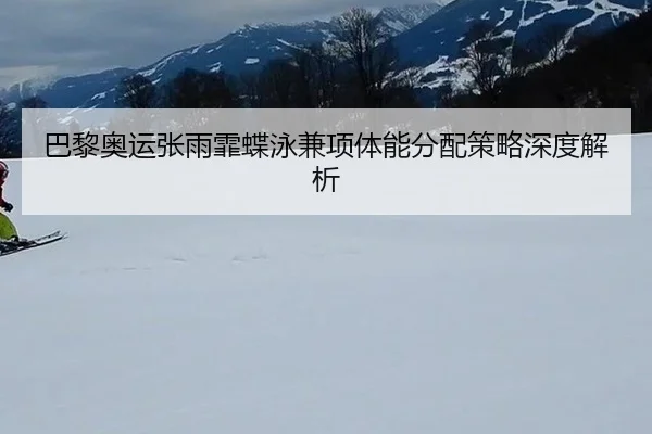 ba-li-ao-yun-zhang-yu-fei-die-yong-jian-xiang-ti-neng-fen-pei-ce-lve-shen-du-jie-xi-2-401.jpg