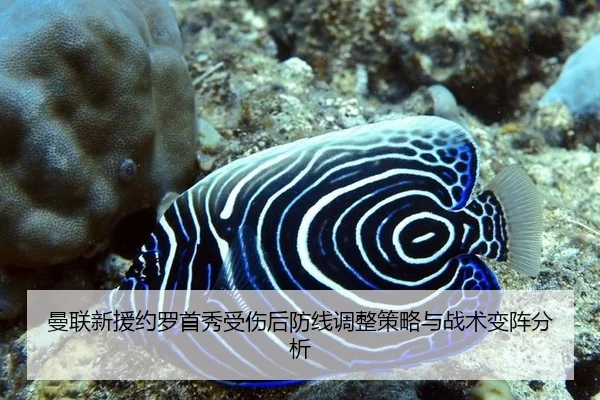 man-lian-xin-yuan-yue-luo-shou-xiu-shou-shang-hou-fang-xian-tiao-zheng-ce-lve-yu-zhan-shu-bian-zhen-fen-xi-2-308.jpg